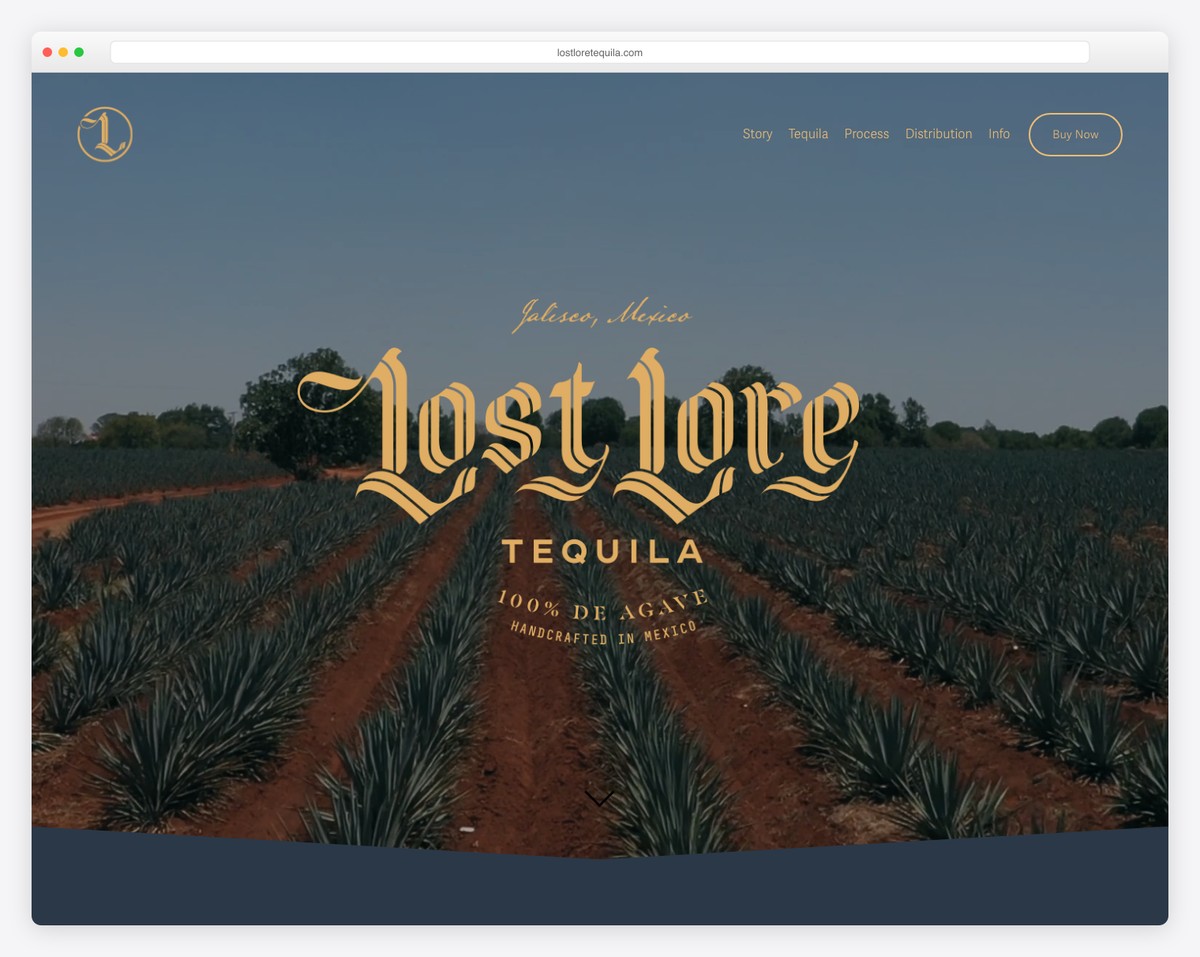 lost lore tequila squarespace one page website example