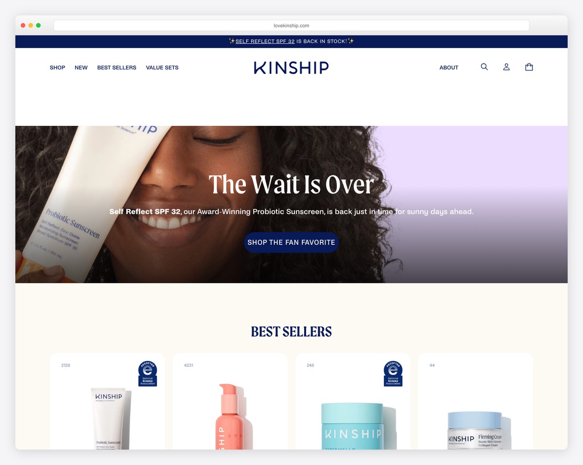 kinship website example