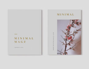 magazine mockups