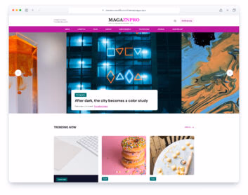 Magaznpro website template