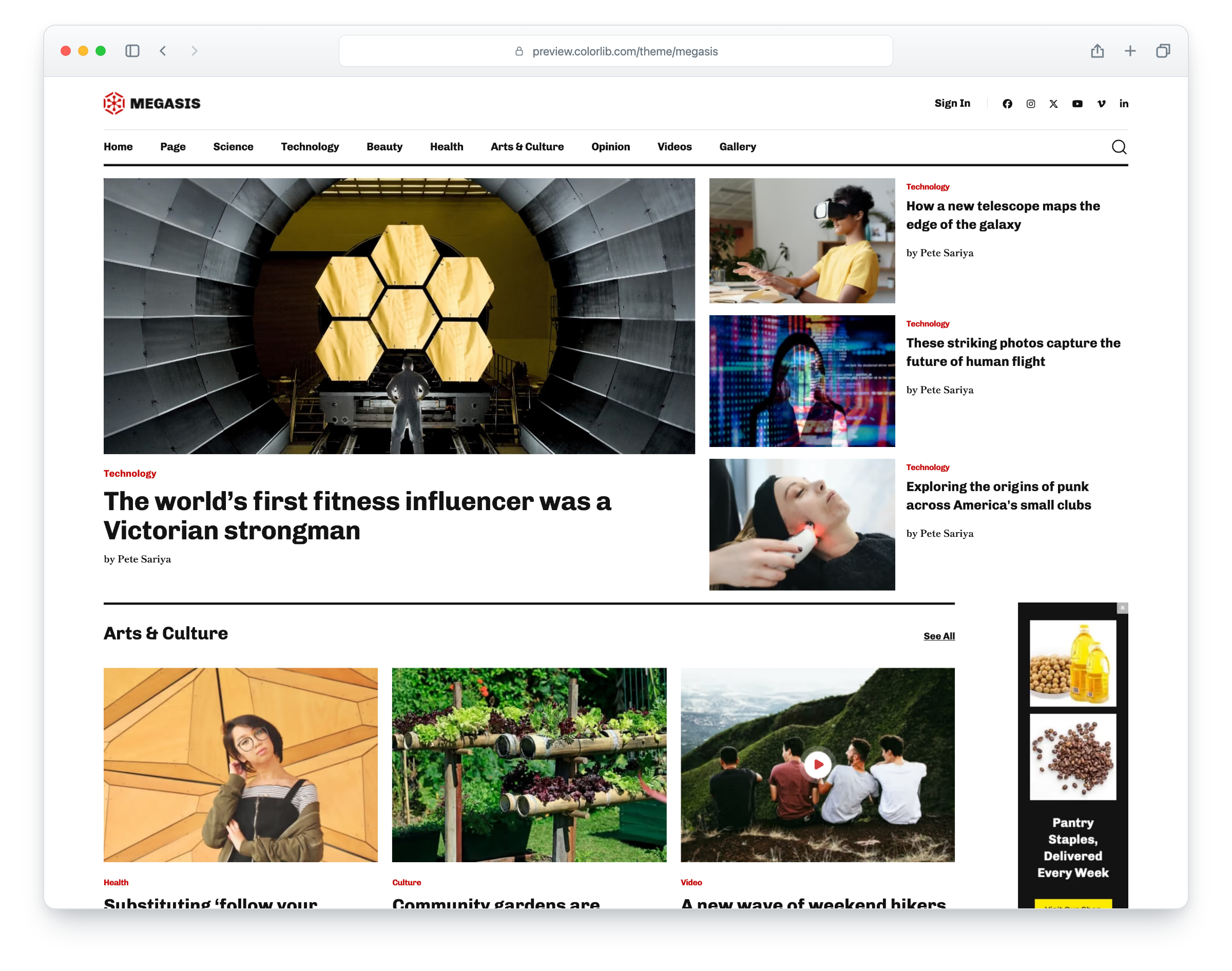 Megasis website template