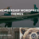 11 Best Membership WordPress Themes 2026