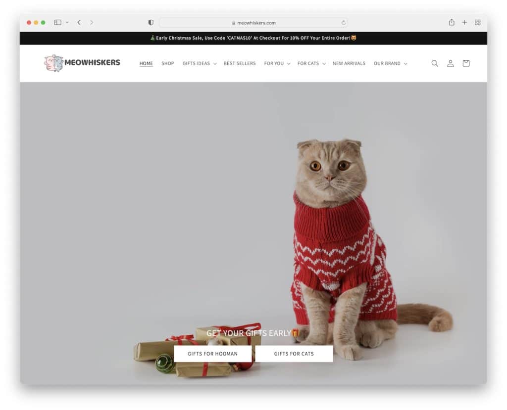 meowhiskers dropshipping website example