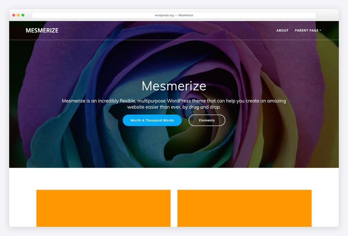 Mesmerize free WordPress theme demo with a hero slideshow and video header