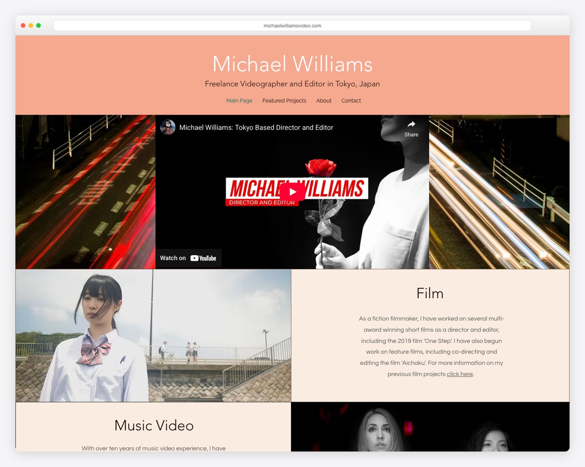 michael williams website example
