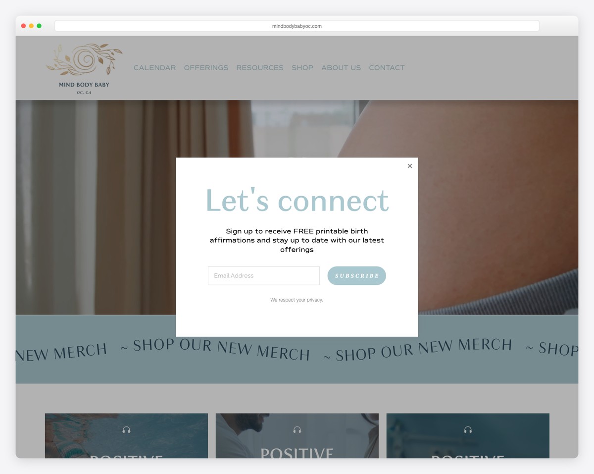 mind body baby website example