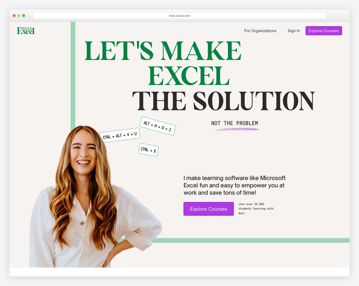 miss excel website example