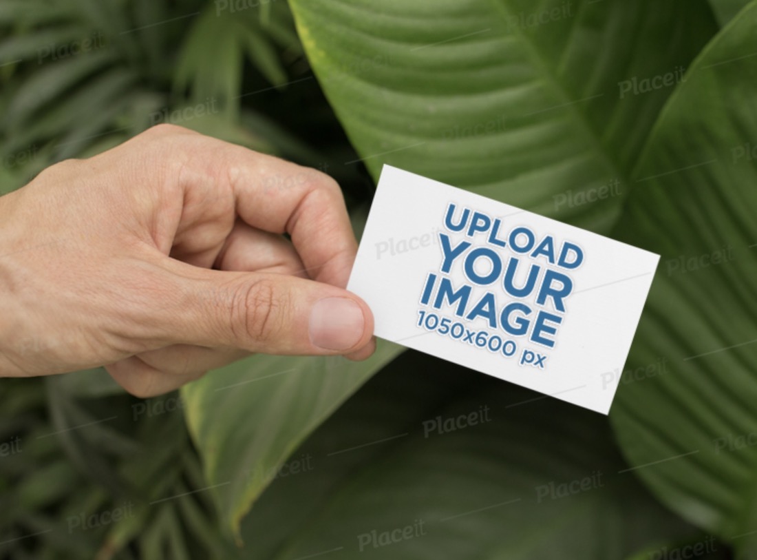 mockup of a man holding a business card by some palm leaves