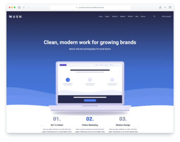 Mosh website template