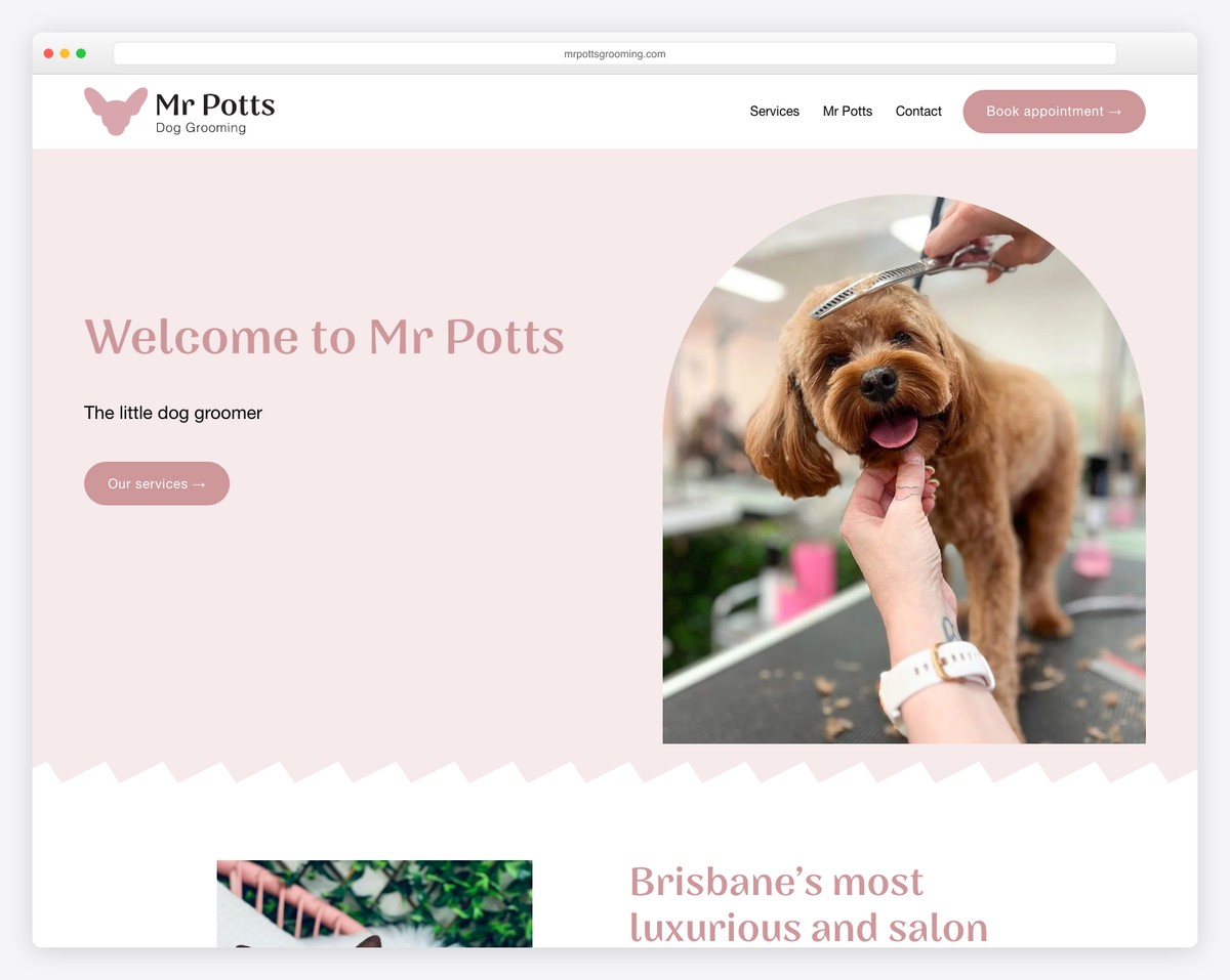 mr potts grooming website