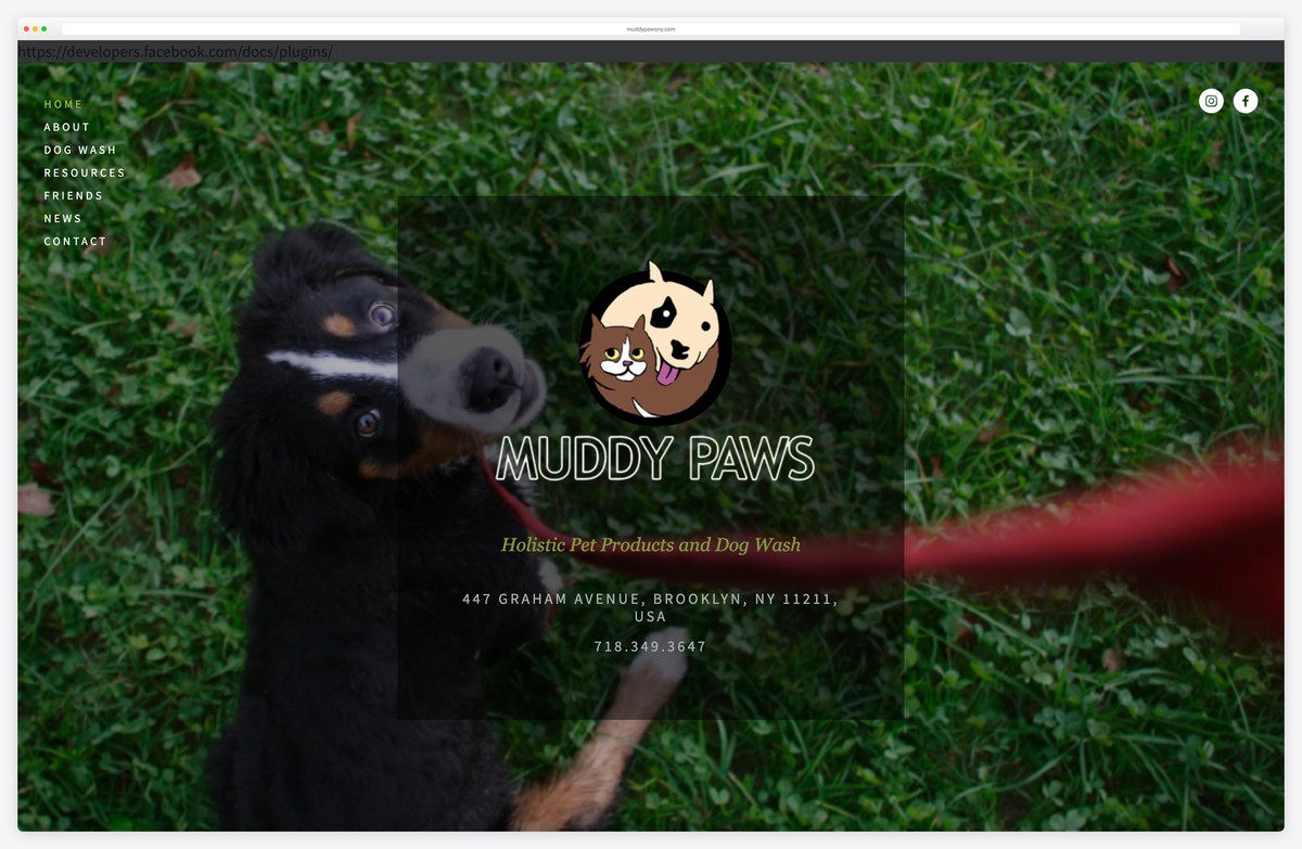 muddy paws new york dog grooming website example