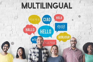 multilingual-WordPress-themes