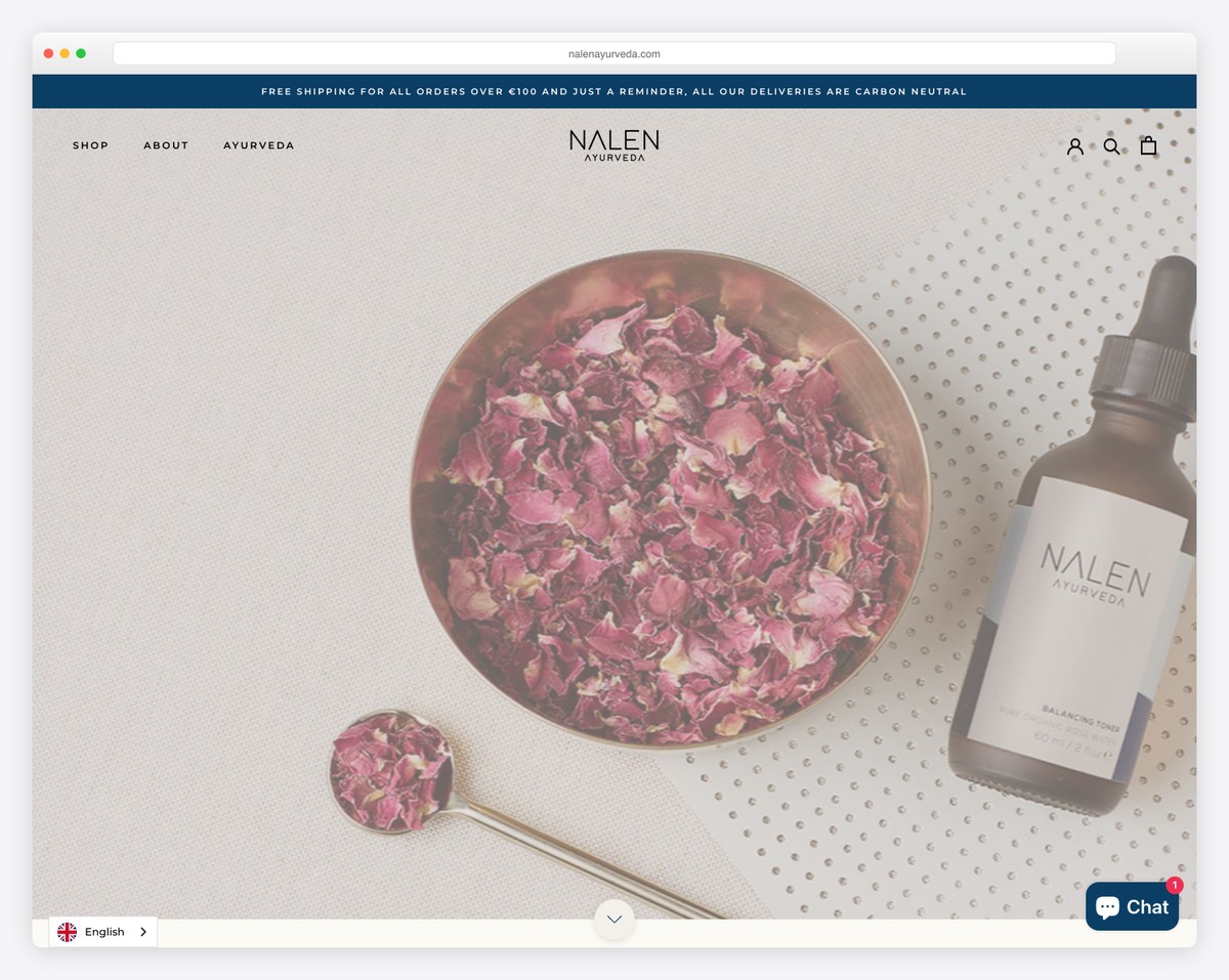 nalen ayurveda small business website