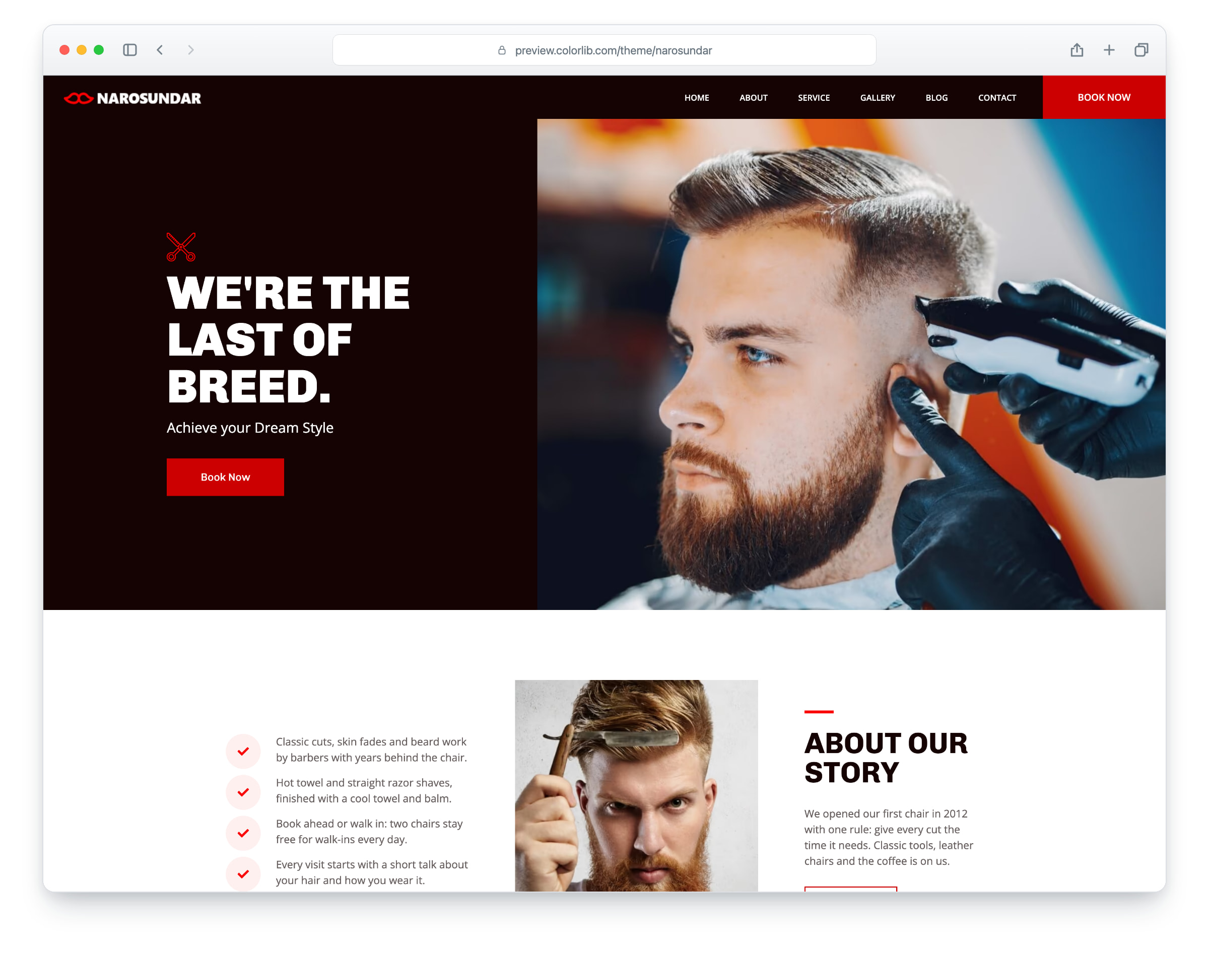 Narosundar website template