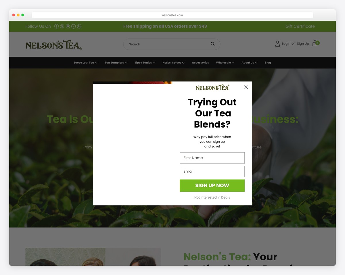 nelson's tea website example