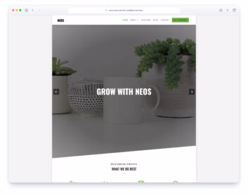 Neos website template