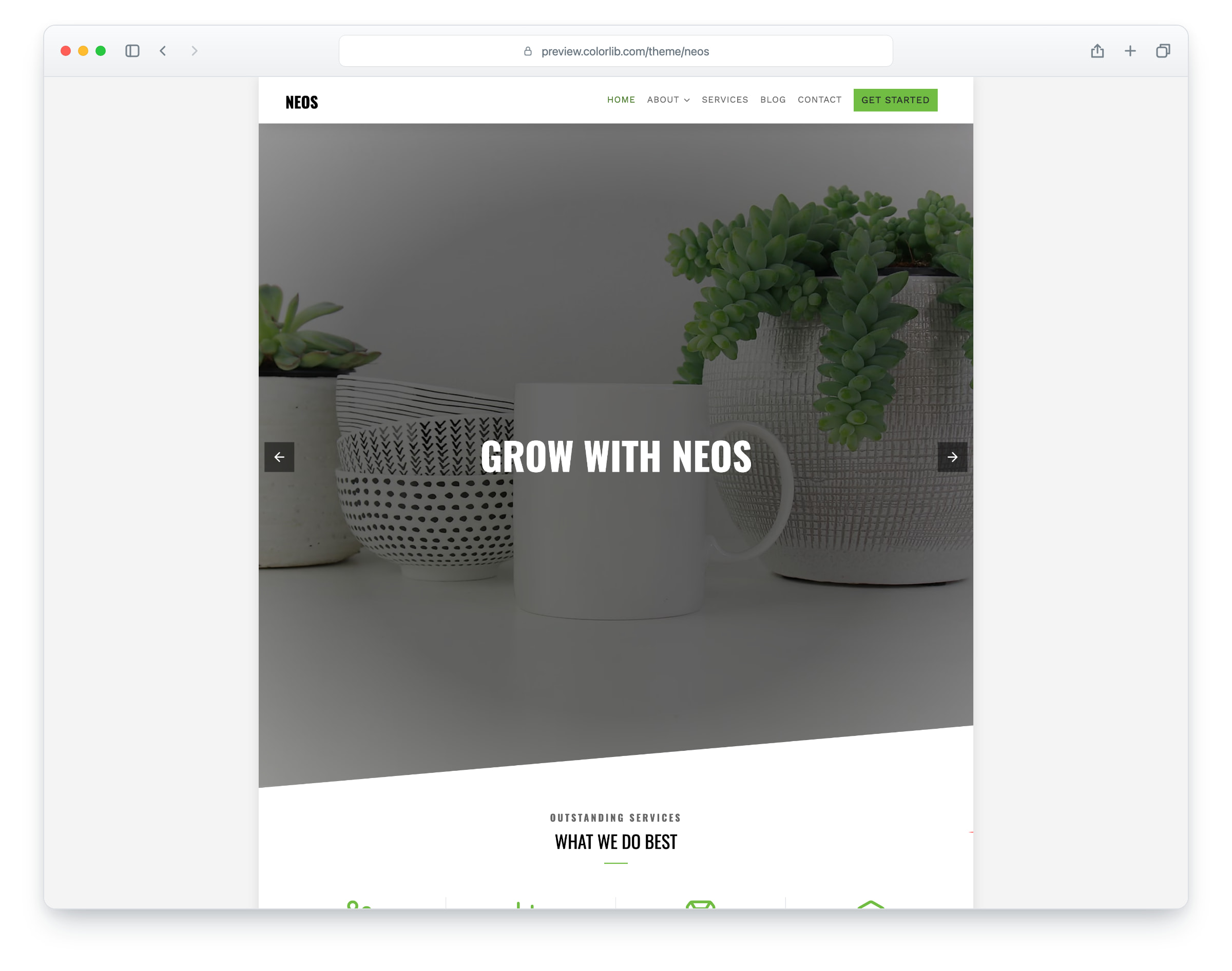 Neos website template