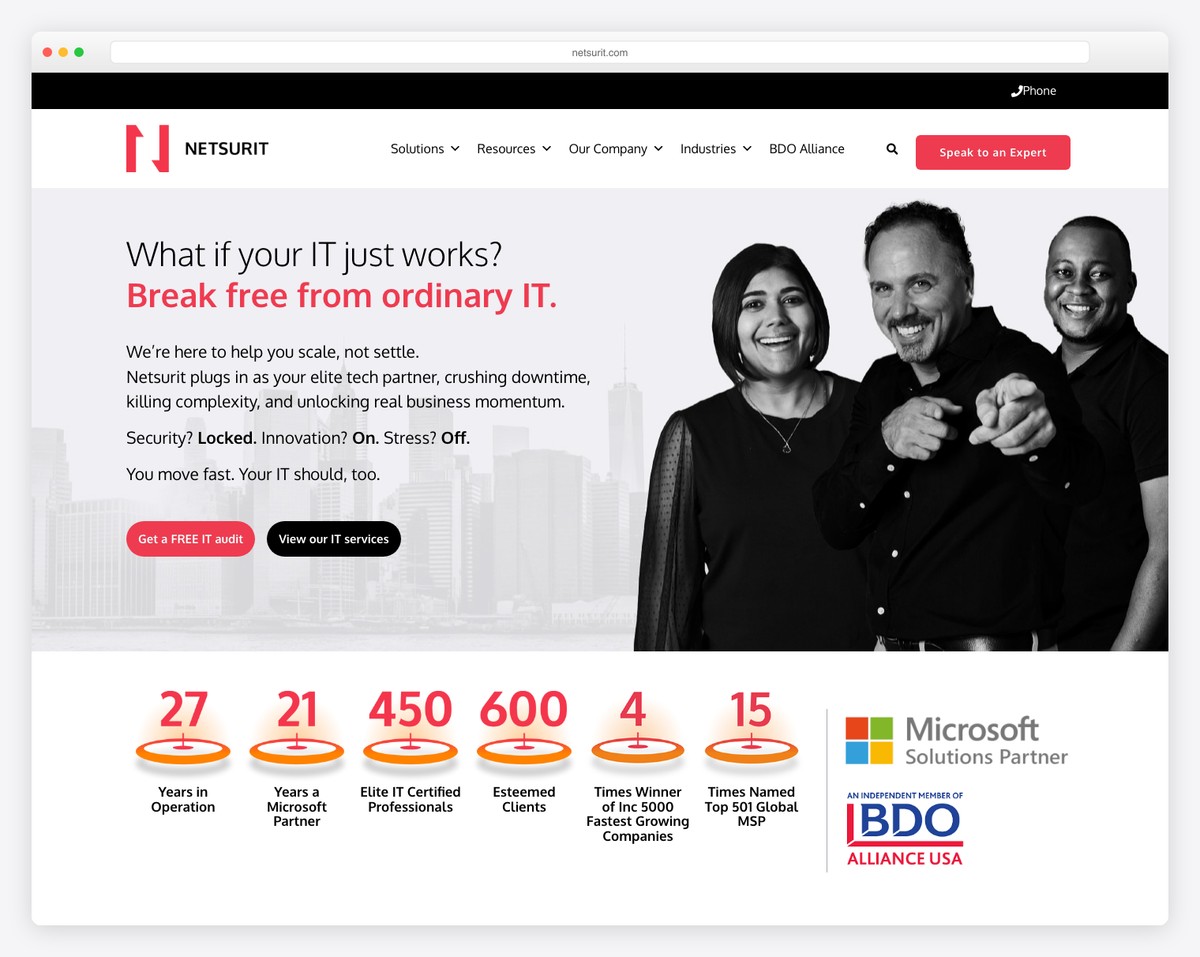 netsurit website example
