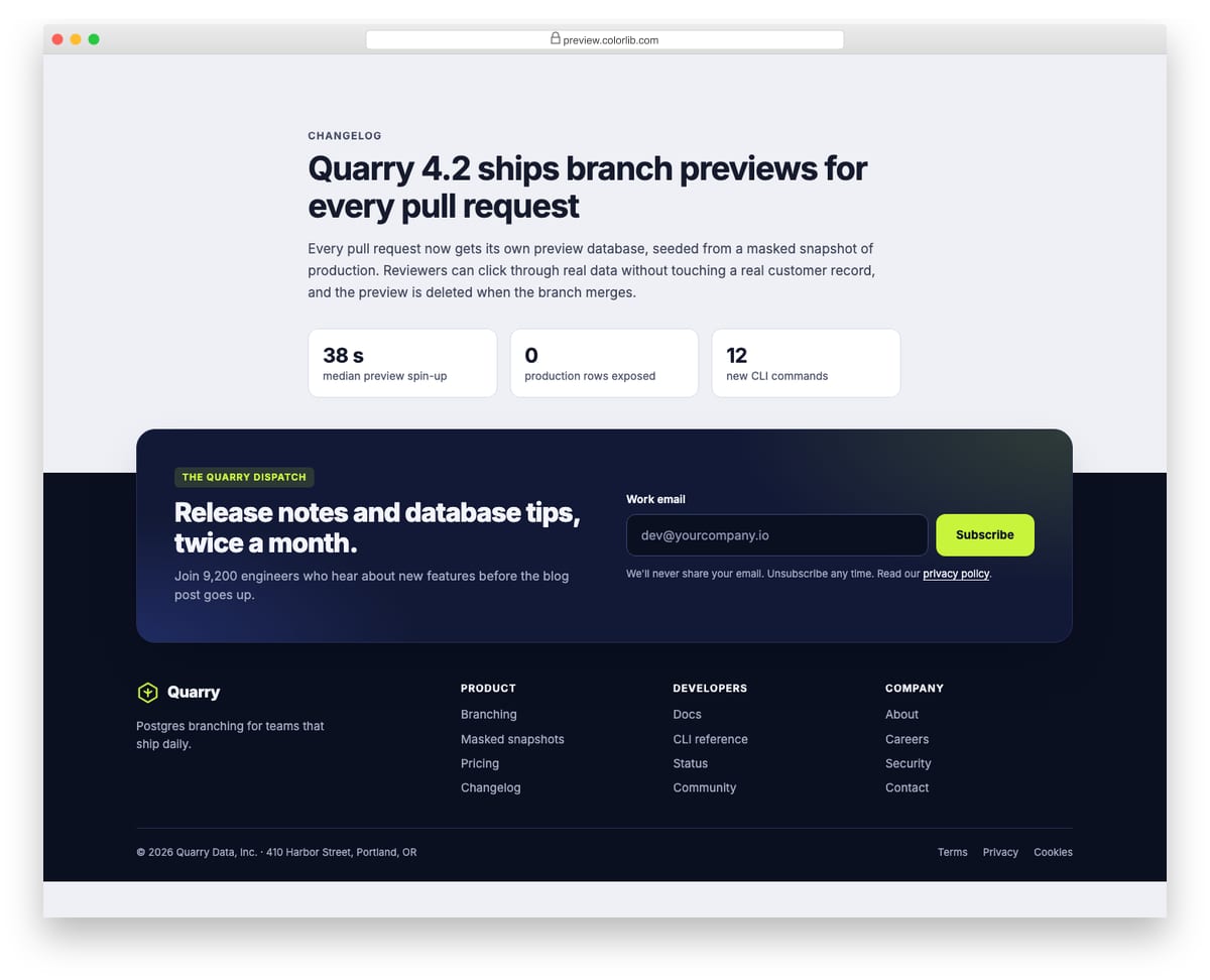 Newsletter Form V02: dark site footer with a prominent newsletter band