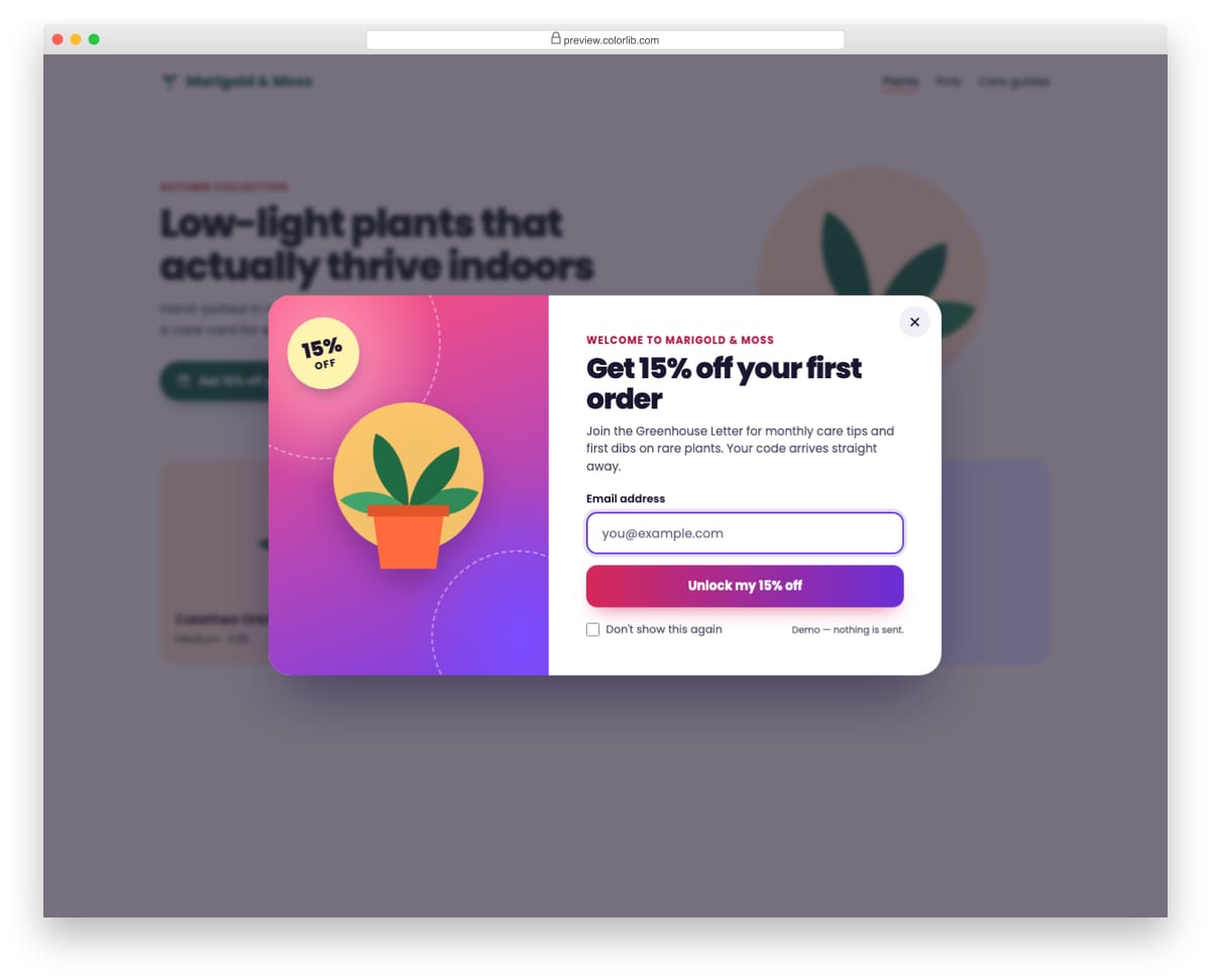 Newsletter Form V04: promo subscribe popup built on the native dialog element