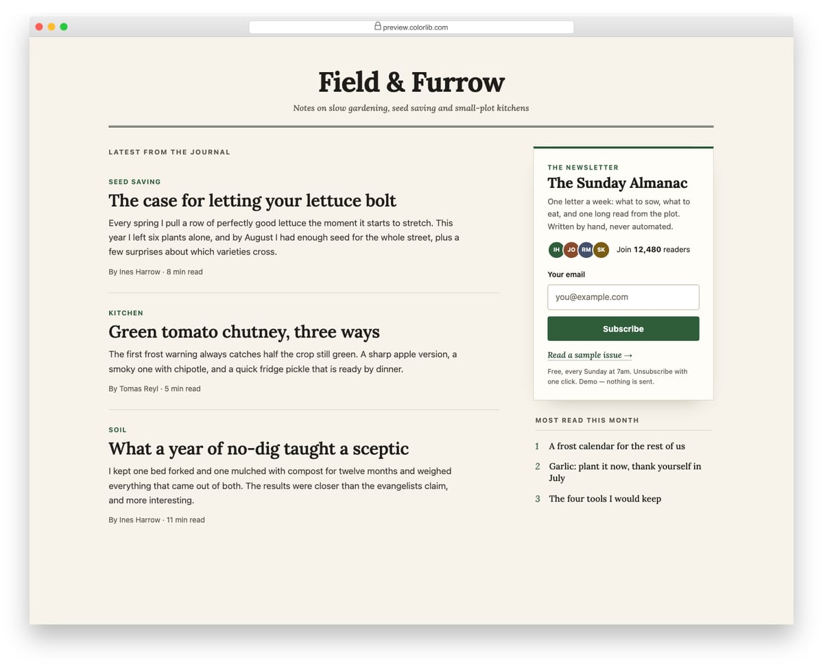 Newsletter Form V07: blog sidebar newsletter widget with reader count and avatar stack