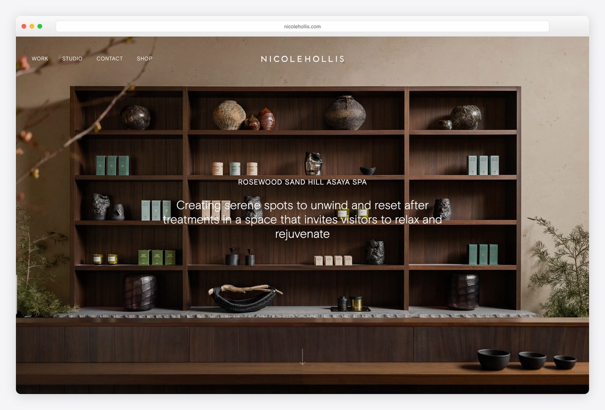 Nicole Hollis portfolio website