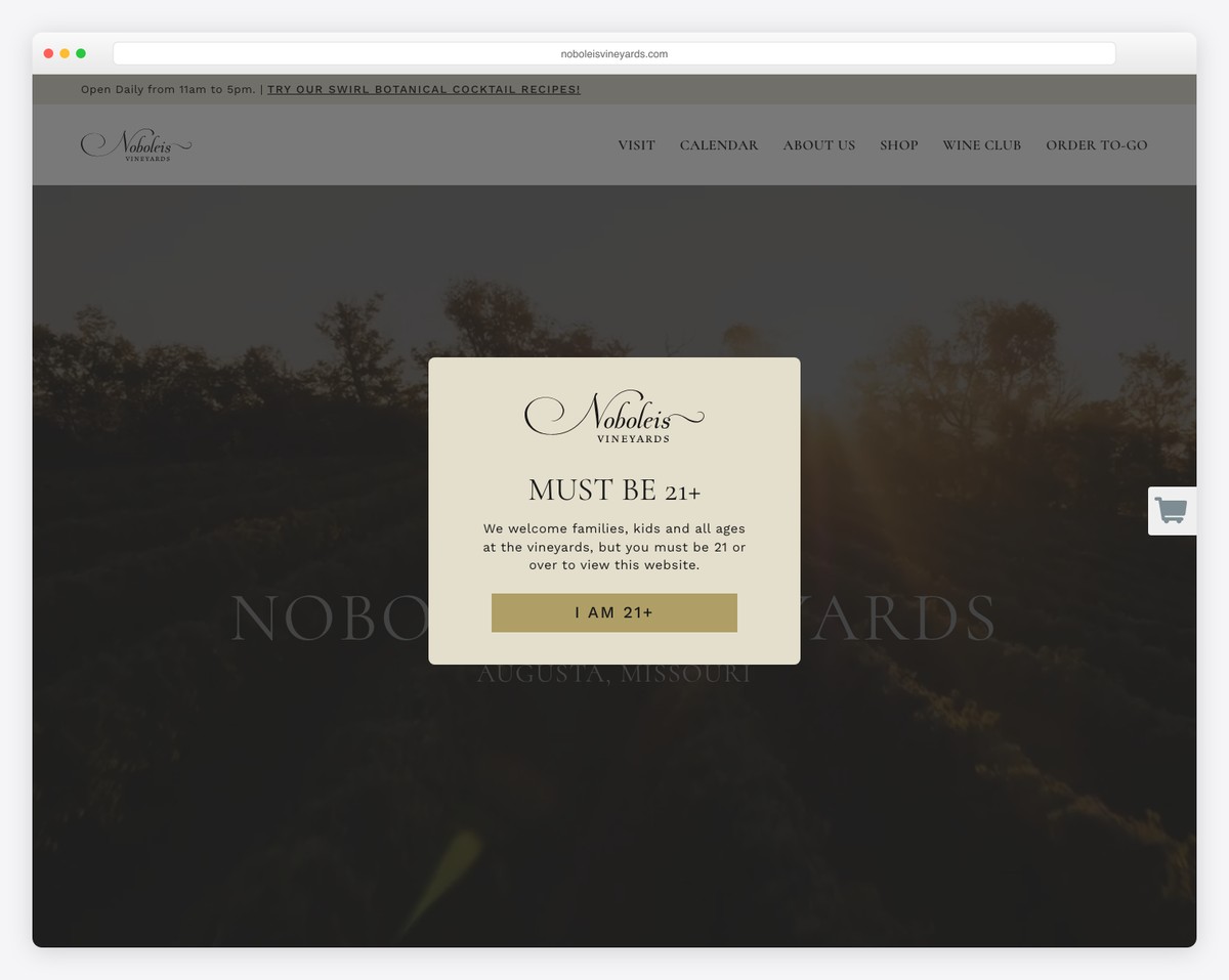 noboleis vineyards website example
