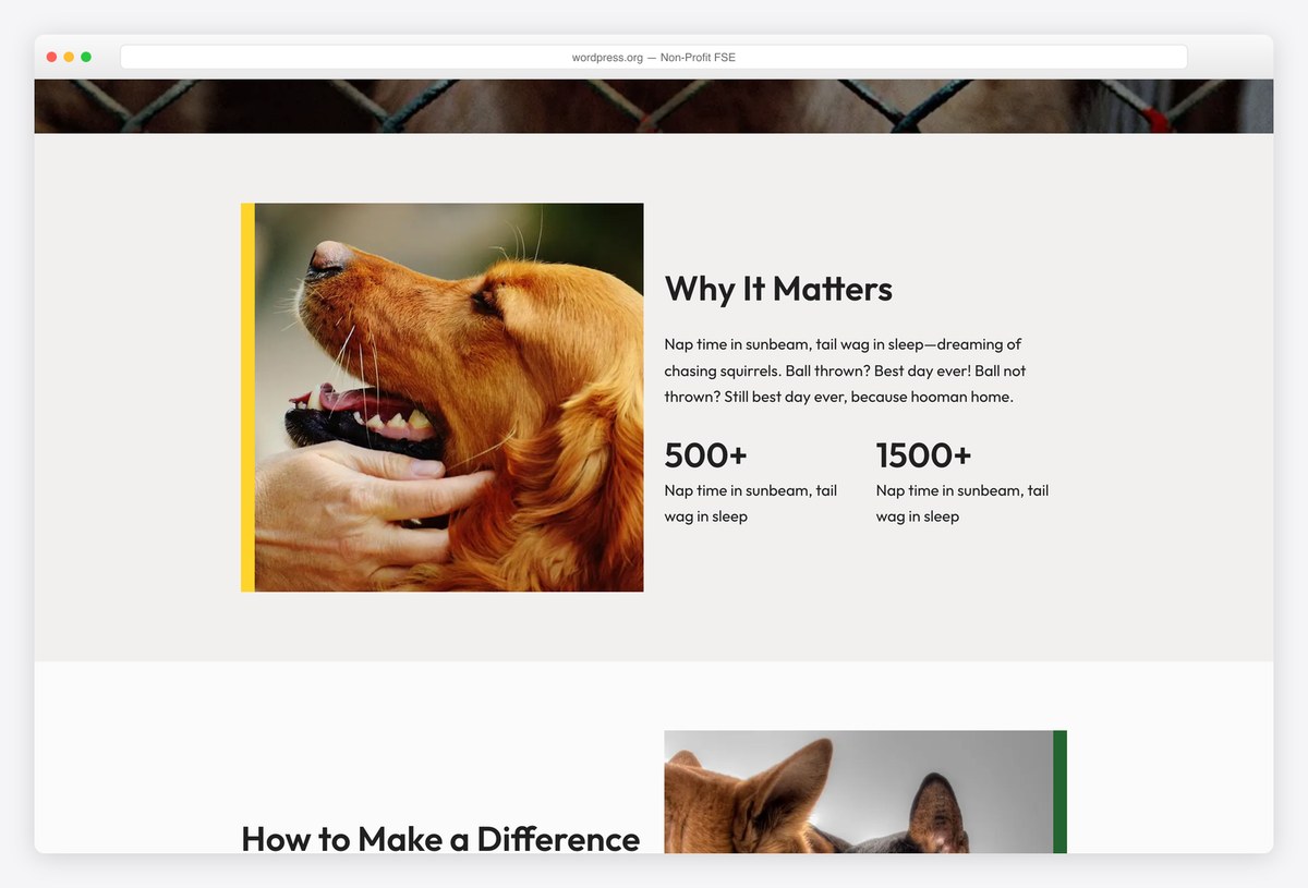Non-Profit FSE free block theme for charities