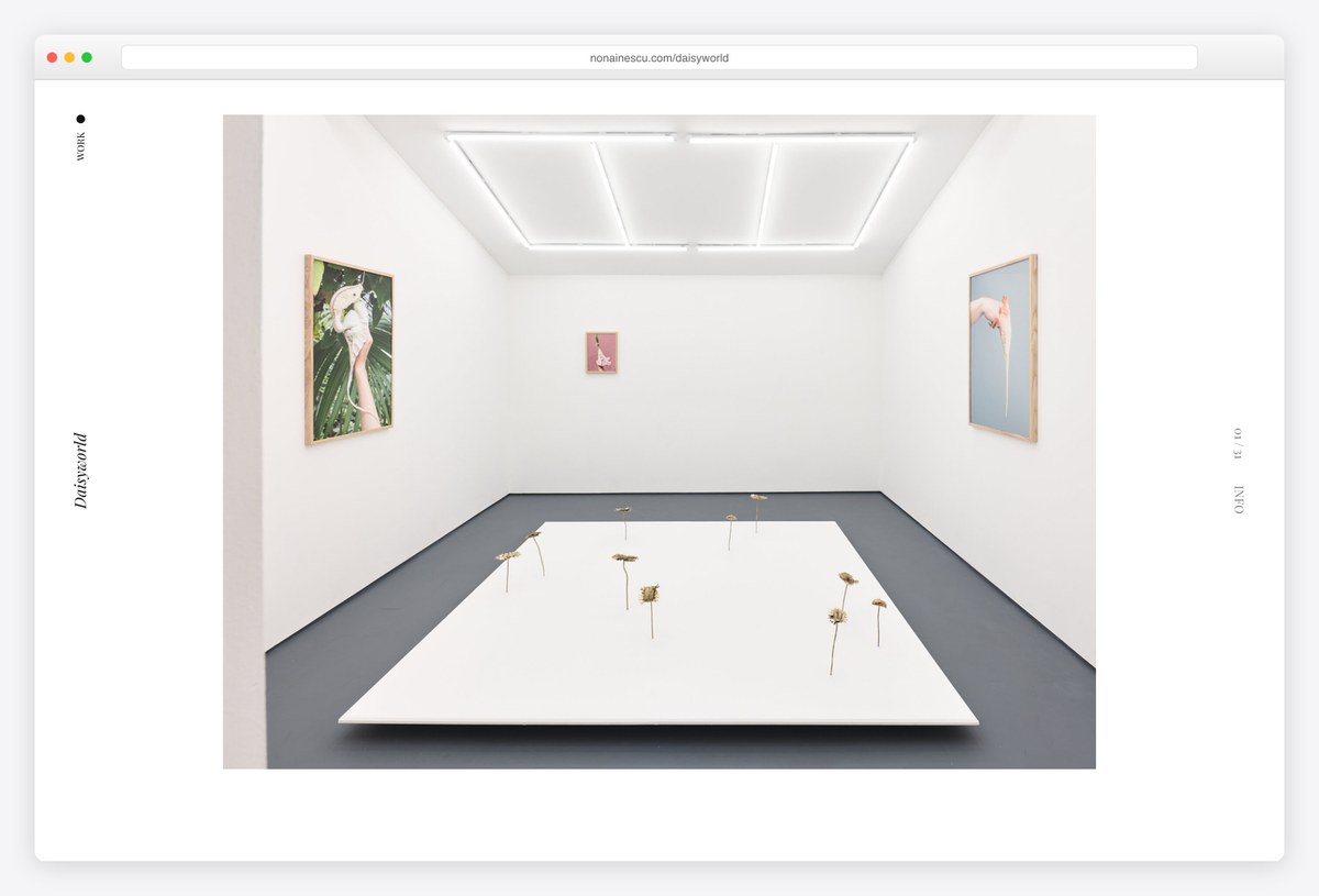 Nona Inescu's Daisyworld project page with installation photographs