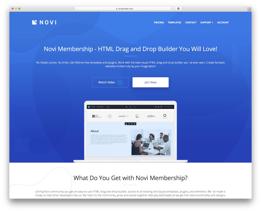 novi beginner website builder