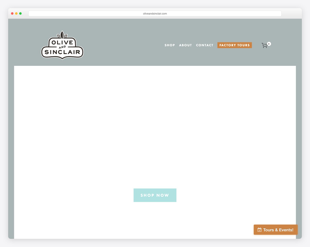 olive & sinclair chocolate co. website example