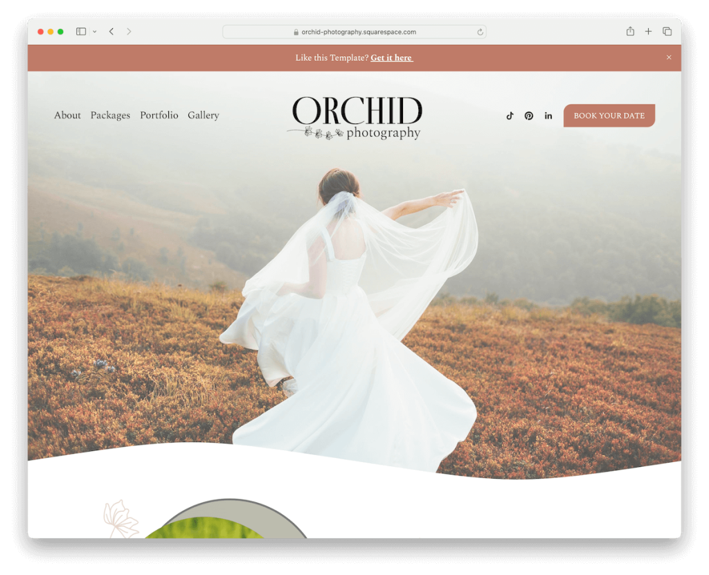 orchid squarespace wedding template
