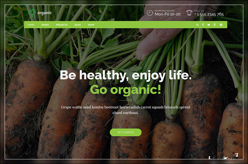Organic Food - Nutritionist & Food WordPress Theme