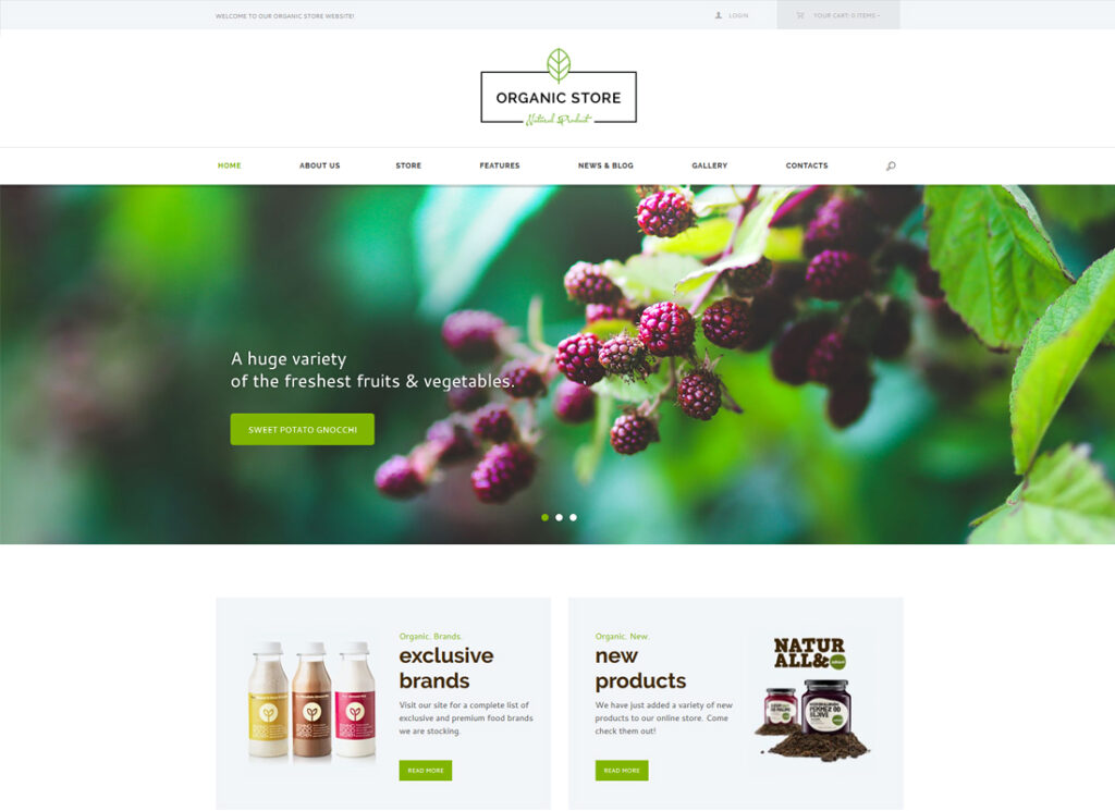 Organic Store | Eco Products Shop WordPress Theme + RTL