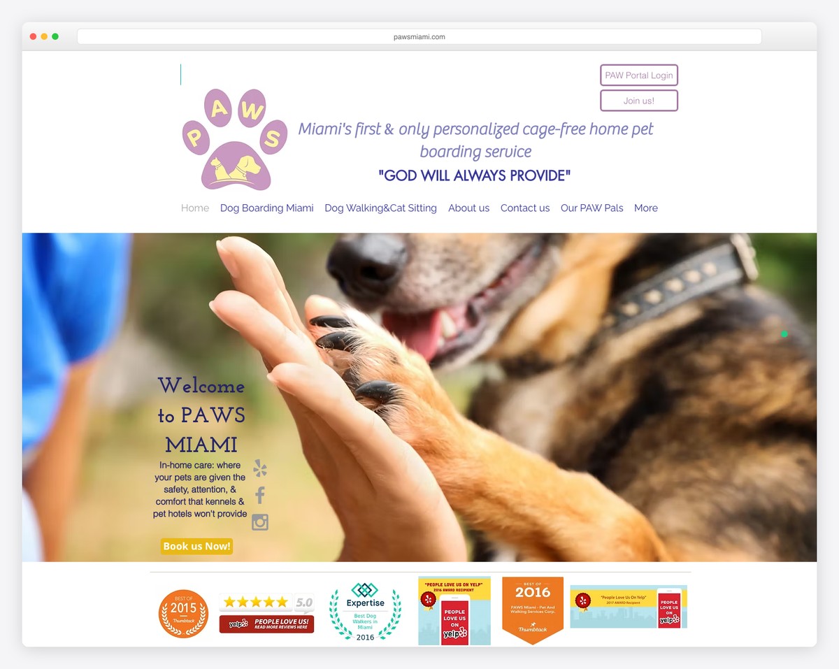 paws miami website example