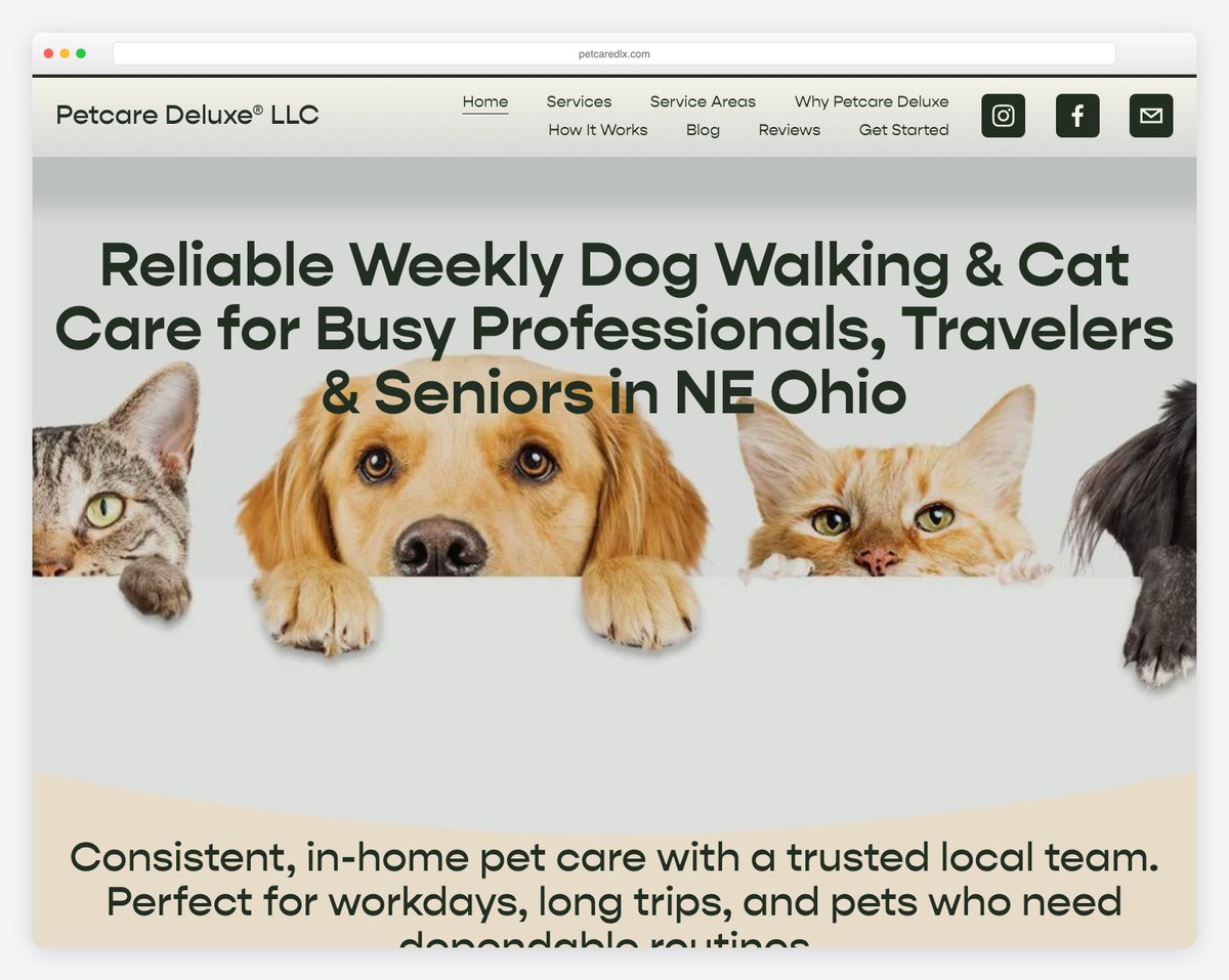 petcare deluxe llc website example