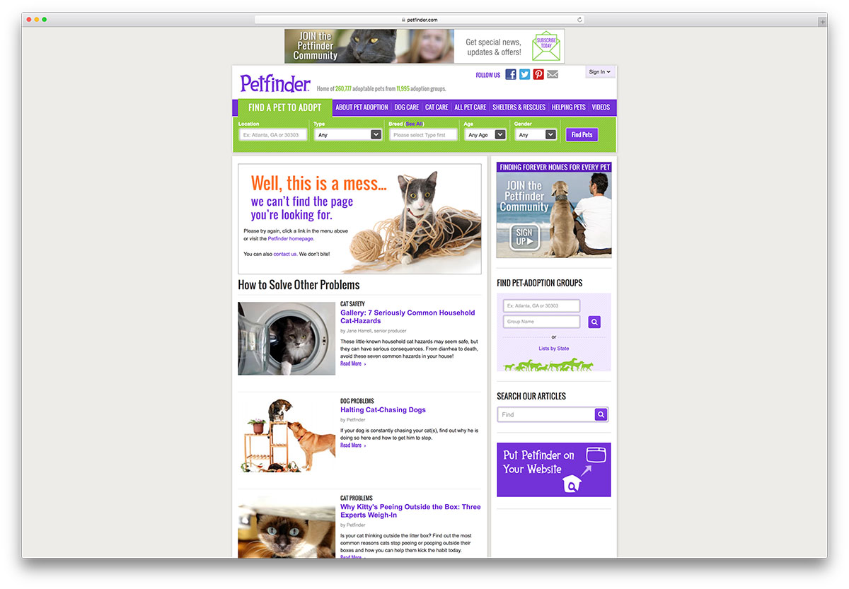petfinder-creative-not-found-error-page-example