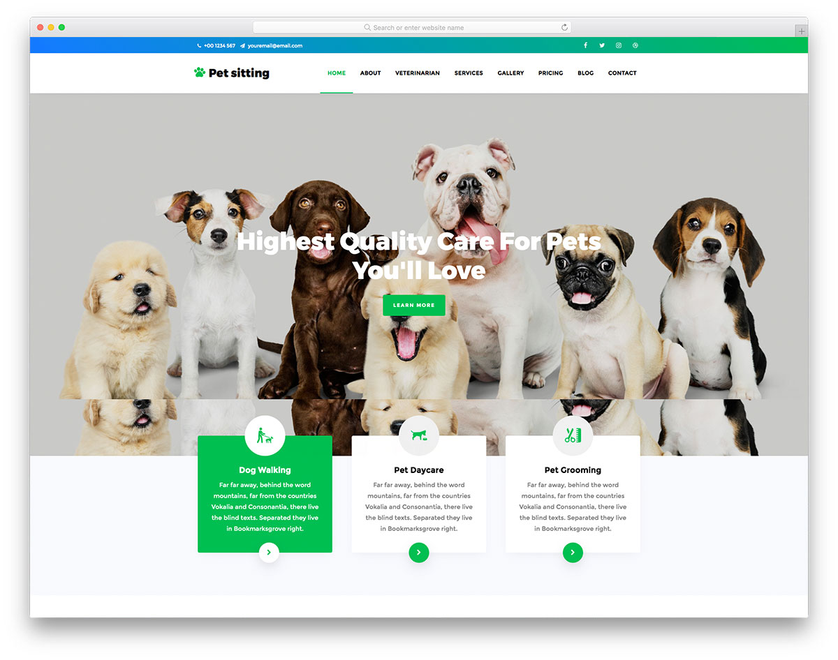 PetSitting - Best Pet Sitting Website Template 2023 - Colorlib