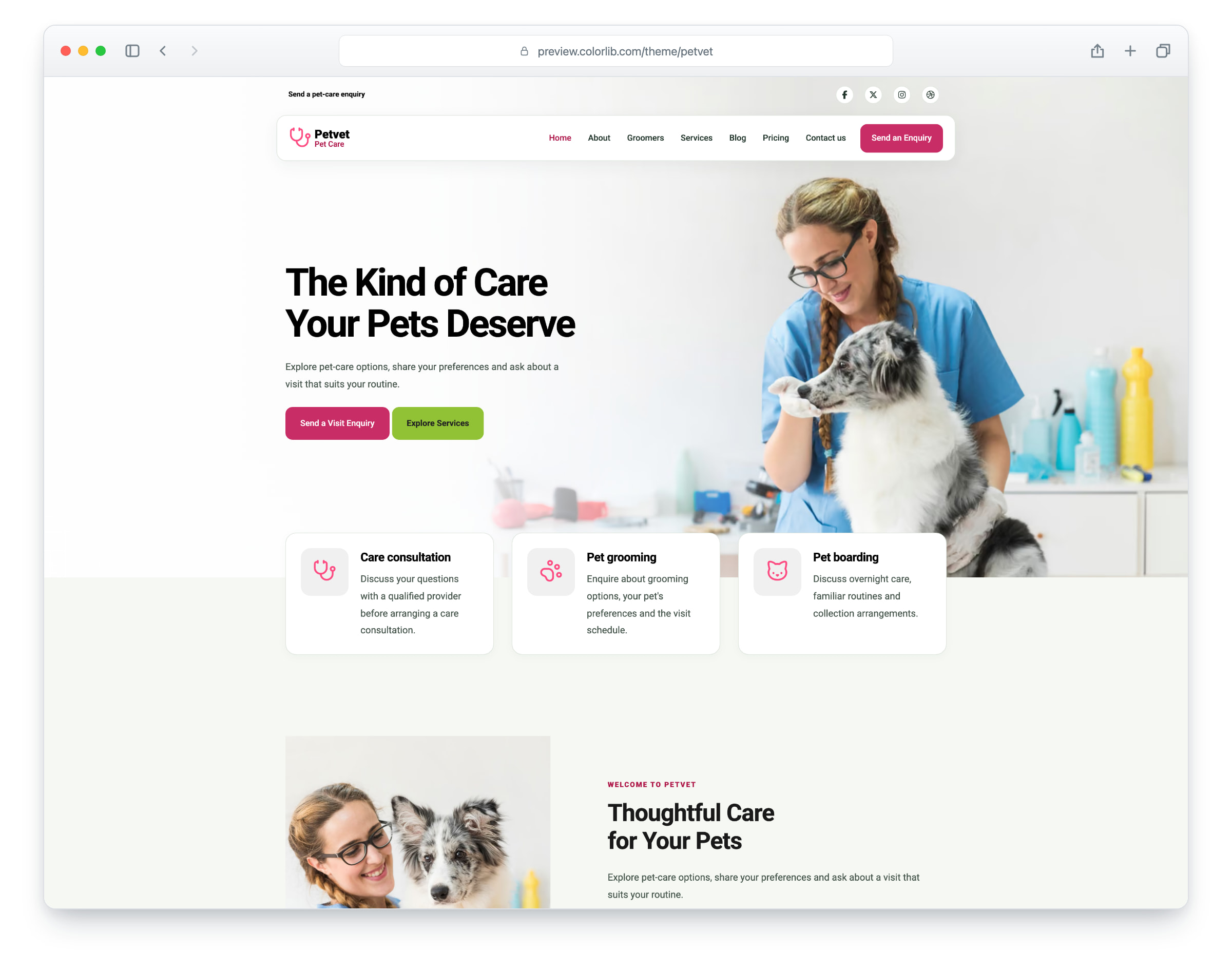 PetVet website template