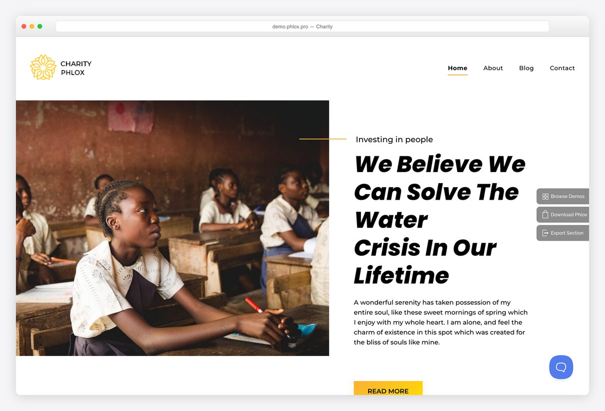 Phlox Charity demo site built with Elementor