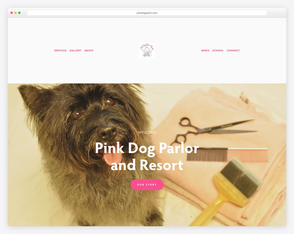 pink dog parlor grooming website
