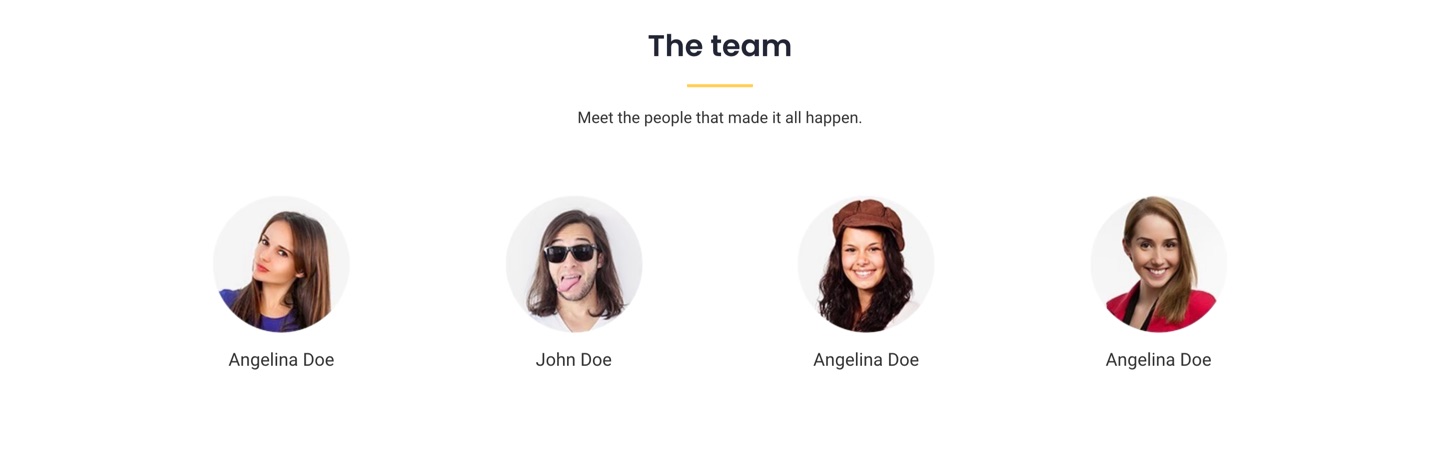 Pixova Lite team section with social links