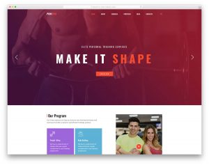 Ponigym website template
