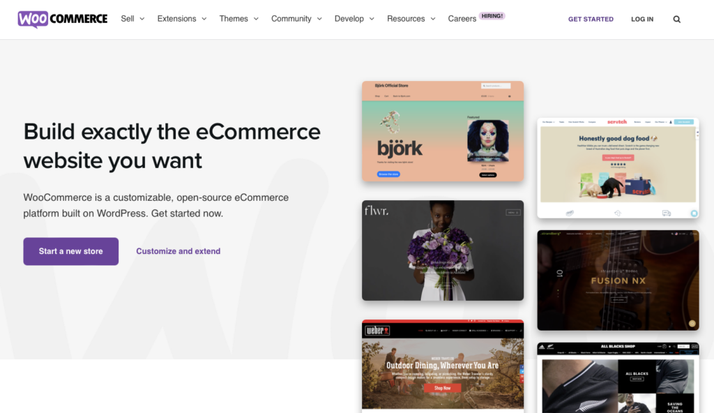 Use WooCommerce for online payments