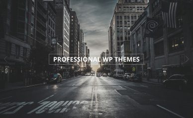 professional-wordpress-themes