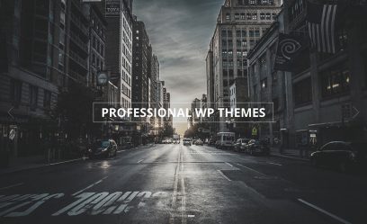 Professional-wordpress-themes