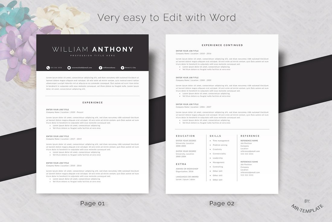 resume cv 4 pages word