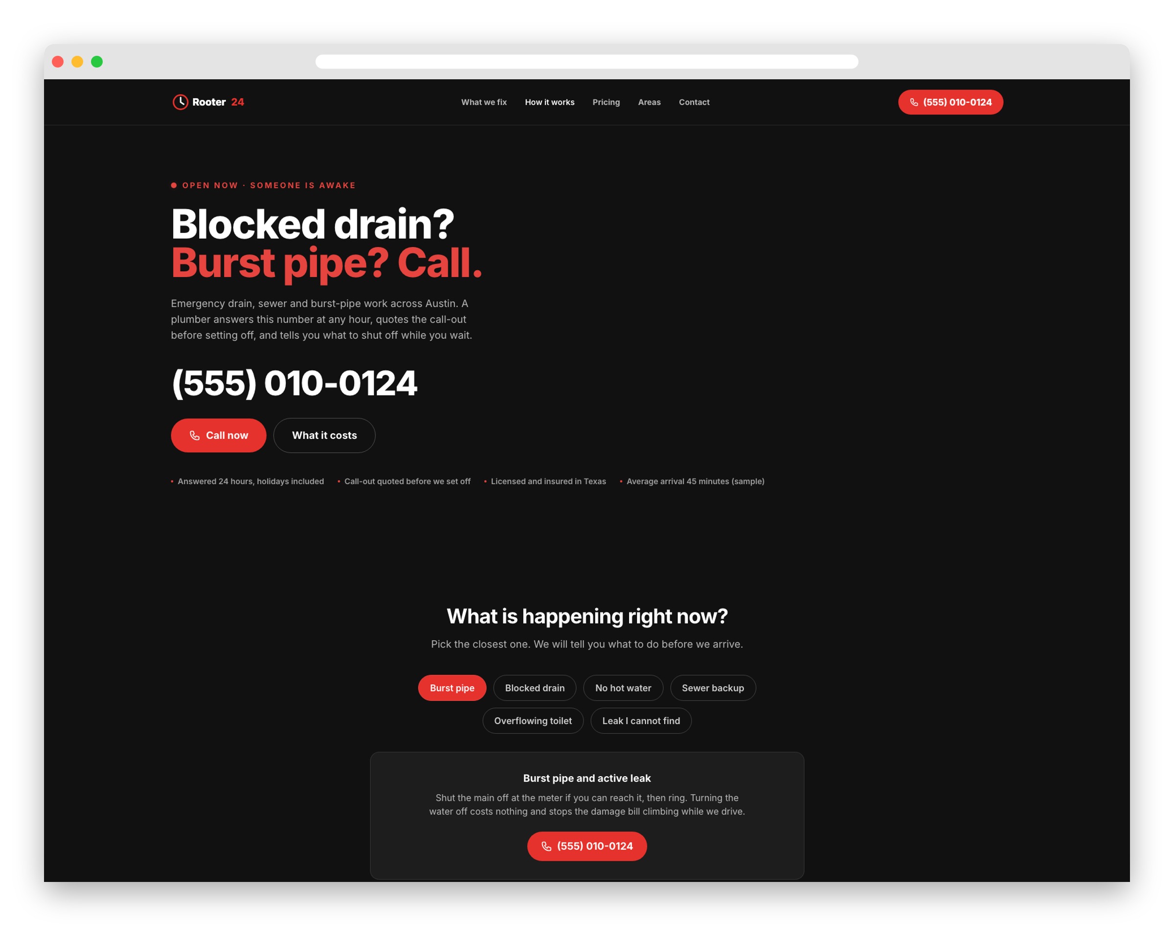 Rooter24 Template