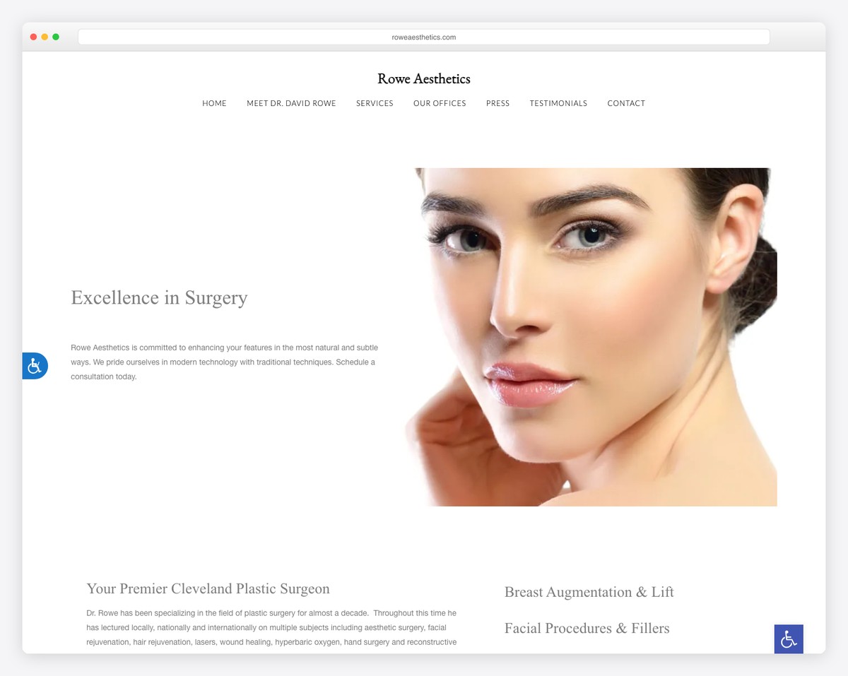 rowe aesthetics website example