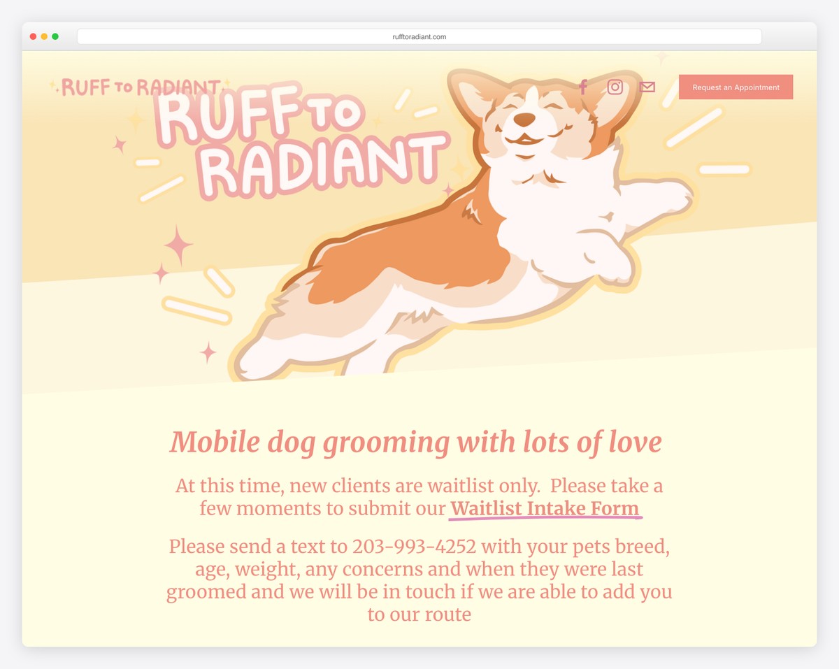 ruff to radiant grooming website